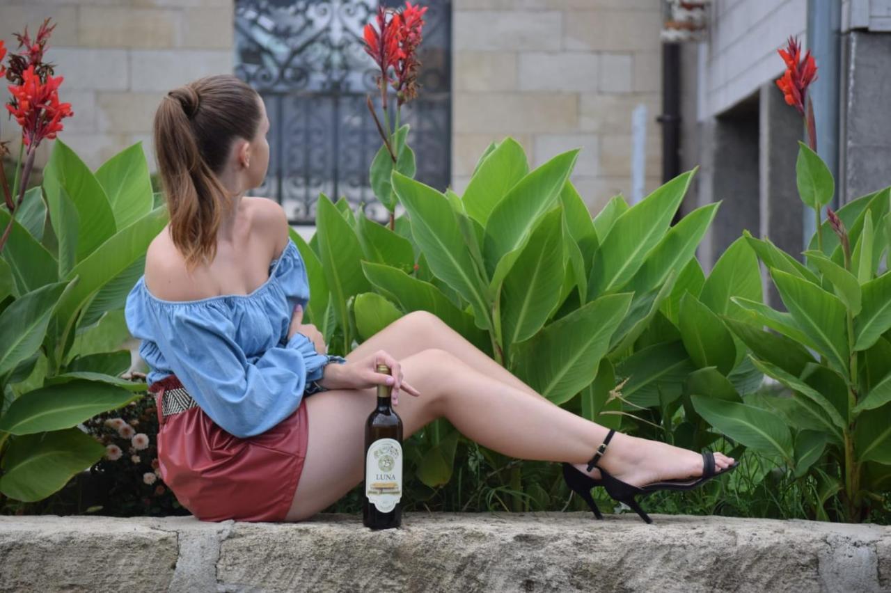 Apartmani Bojeresku เนโกติน ภายนอก รูปภาพ