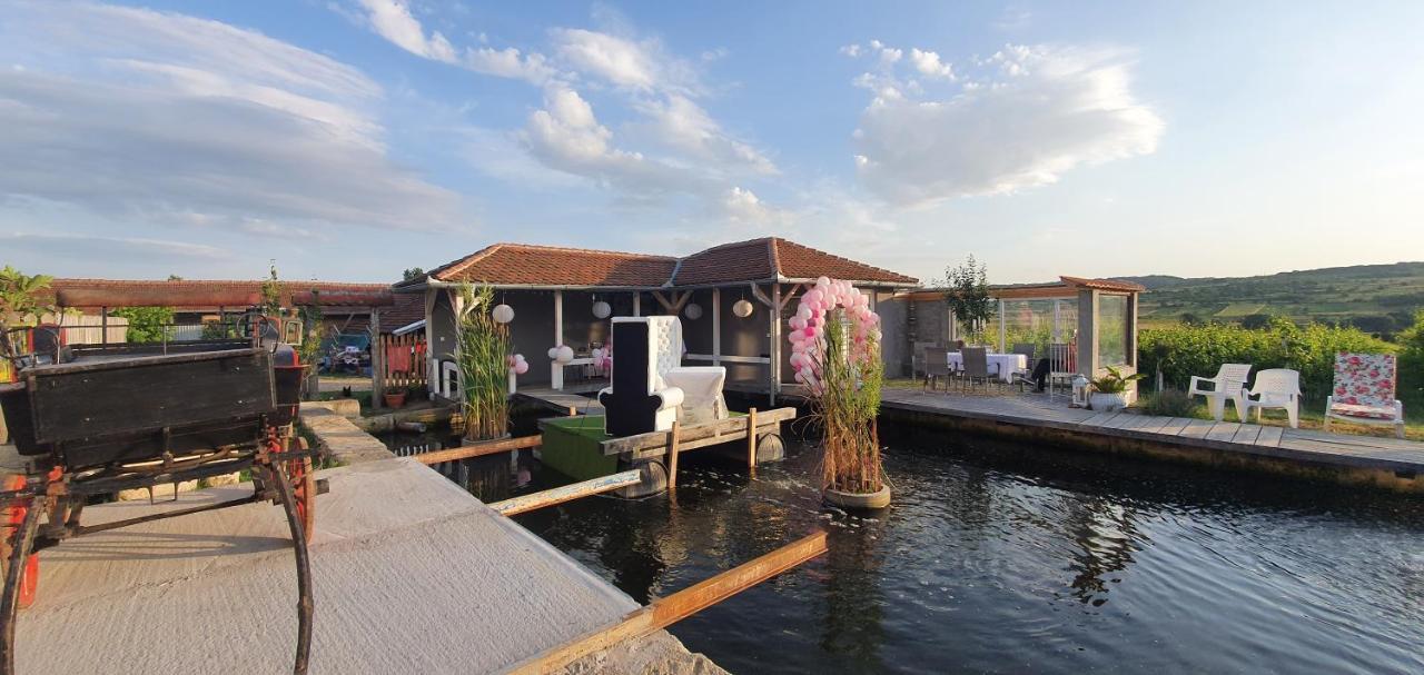 Apartmani Bojeresku เนโกติน ภายนอก รูปภาพ
